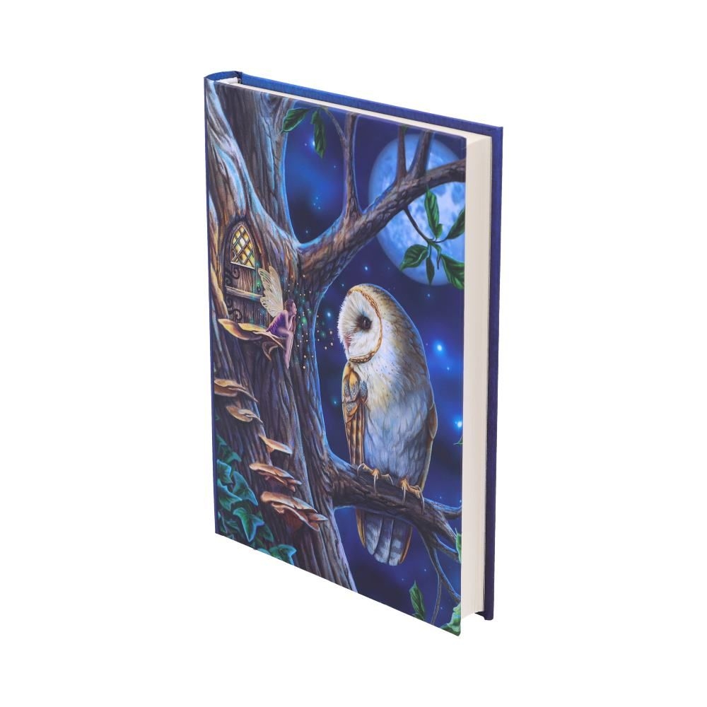 Nemesis Now - Fairy Tales Notitieboek - Multicolours